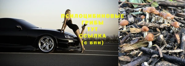 прущая мука Волоколамск