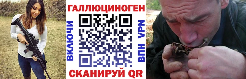продажа наркотиков  Гаджиево  Галлюциногенные грибы прущие грибы 